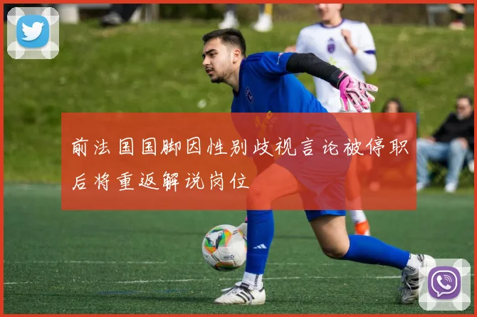 前法国国脚因性别歧视言论被停职后将重返解说岗位